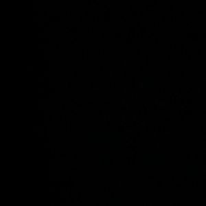 Meet your Posher, Nelly